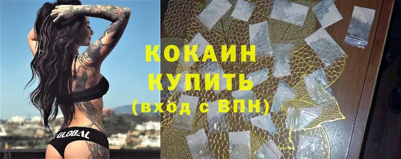 shop клад  Чкаловск  Кокаин FishScale  MEGA зеркало 